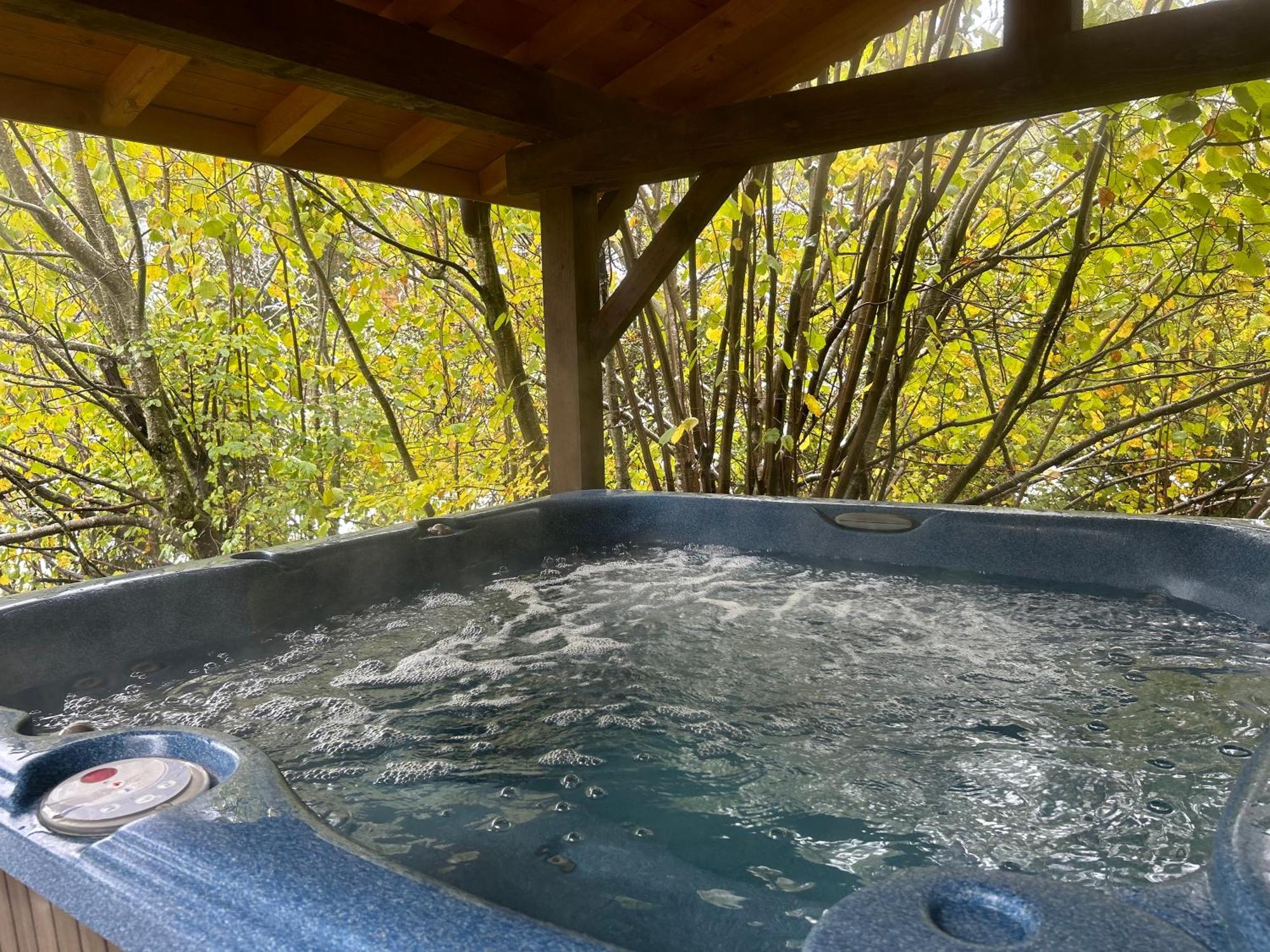 Chalet Adonis - Montriond, Morzine, Avoriaz Екстериор снимка