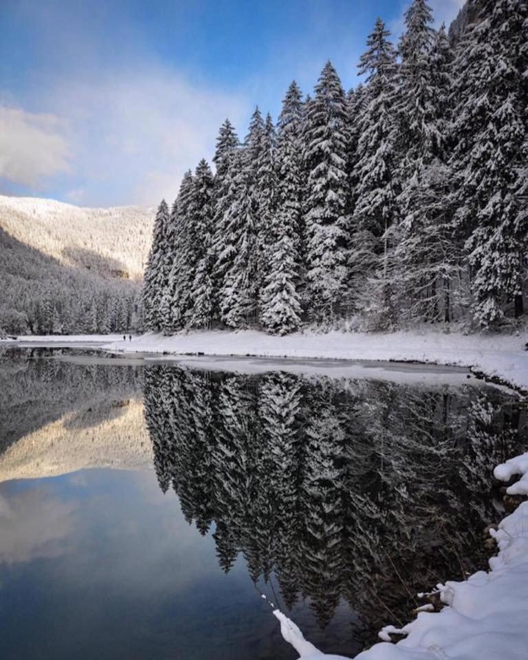 Chalet Adonis - Montriond, Morzine, Avoriaz Екстериор снимка